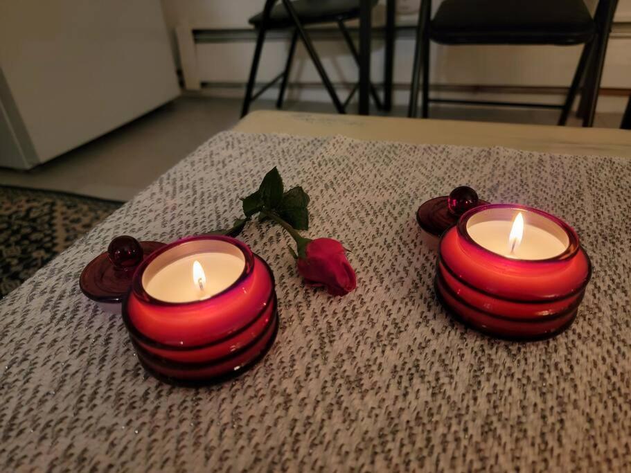 Comfy And Chic Boston Apartment! Free Parking Kültér fotó